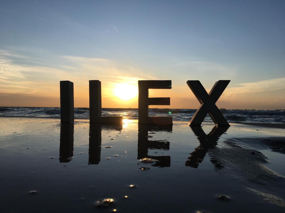 Ilex Appartements 보른 외부 사진